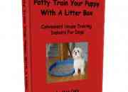 Potty training dogs with dog litter box?potty training puppies indoors