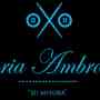 Sartoria Ambrosiana is an exclusive custom tailoring company in NY