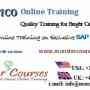 SAP FICO online training, financial and controlling training, sap fico training from India