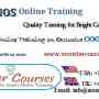 cognos online training with placements