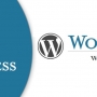 Catch #1 Wordpress Web Development Services from iMOBDEV