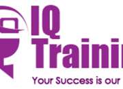 Study boxi online with iq training