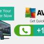 24*7 Live Technical Support | 1-800-953-0960 | AVG Antivirus Phone Number